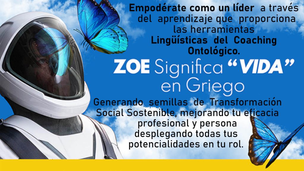 zoe-vida-2.jpg